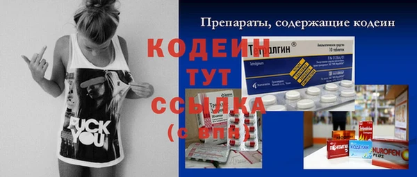 apvp Бородино