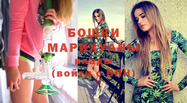 apvp Бородино