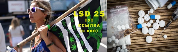 apvp Бородино
