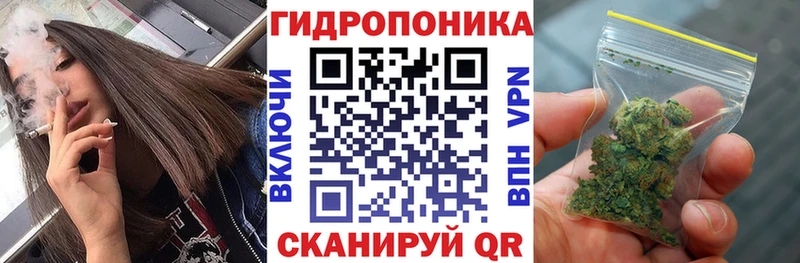 Конопля индика  купить наркоту  Сосногорск 